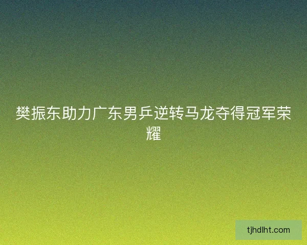 樊振东助力广东男乒逆转马龙夺得冠军荣耀