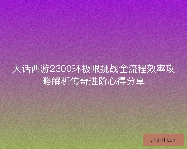 大话西游2300环极限挑战全流程效率攻略解析传奇进阶心得分享